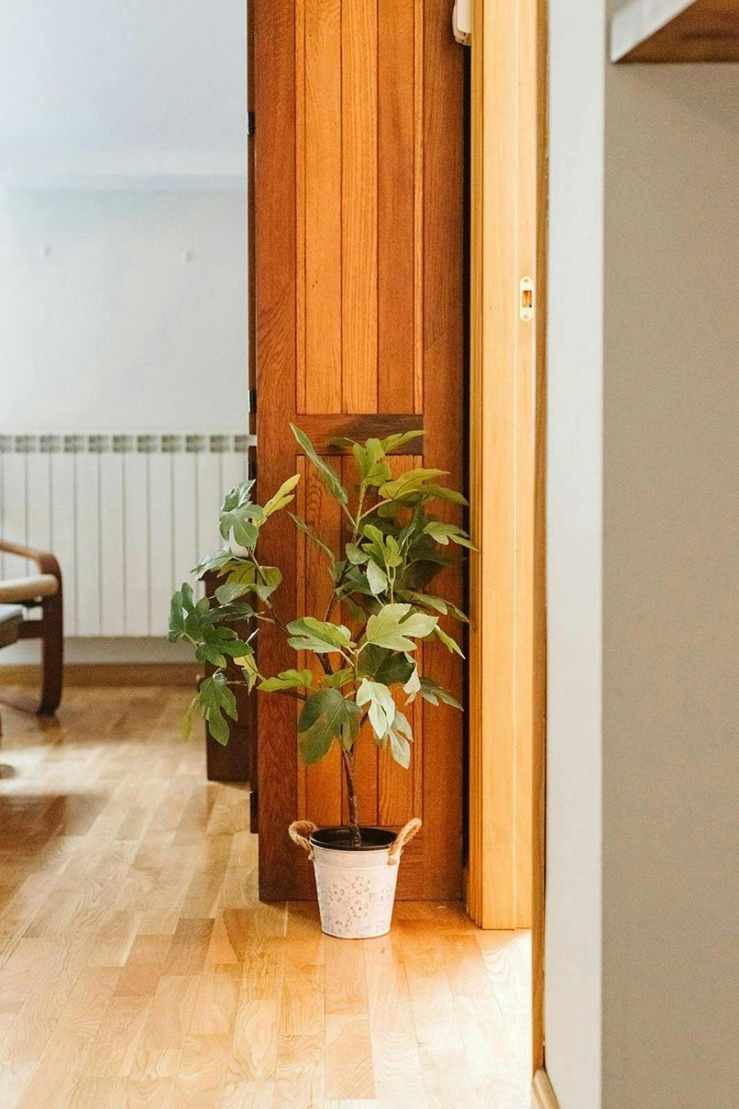 Casa Begona - Wifi Sencillo Y Acogedor Appartement Sallent de Gállego Buitenkant foto